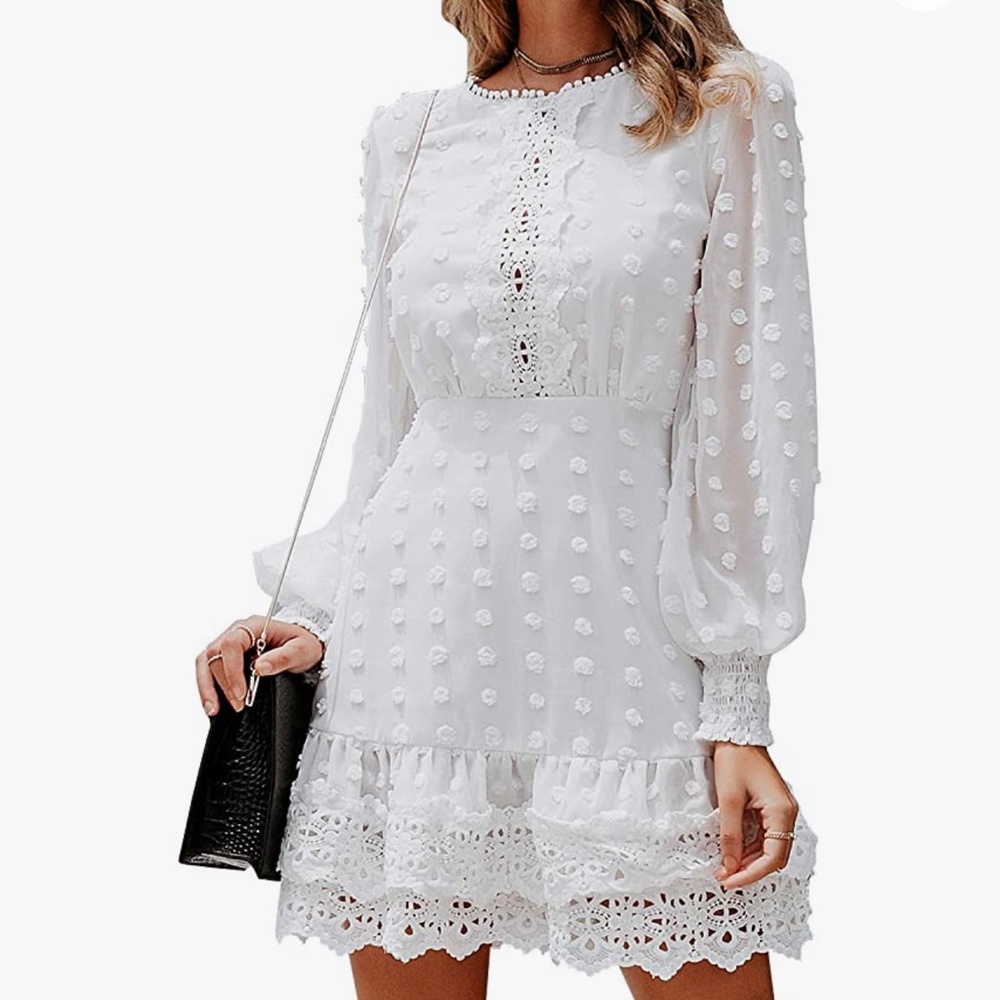 Amazon Lace Chiffon Mini Dress